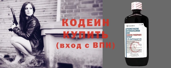 дурь Новодвинск