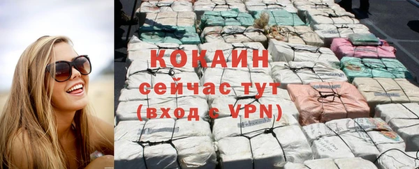 дурь Новодвинск