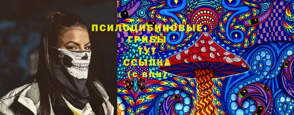 гашик Сковородино