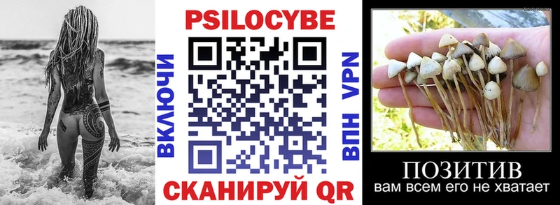 Псилоцибиновые грибы MAGIC MUSHROOMS  darknet наркотические препараты  Хилок  где купить наркоту 